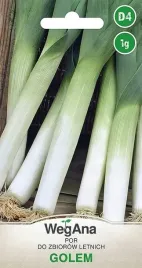 por-golem-wczesny-odporny-do-7-c-aromatyczny-plenny-nasiona-wegana