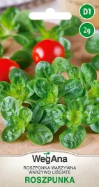 roszponka-warzywna-coquille-de-louviers-2g-plenna-nasiona-wegana