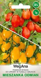 pomidor-mieszanka-gruszkowych-odmian-na-przetwory-plenny-nasiona-wegana