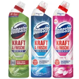 domestos-zestaw-zel-wc-ocean-lime-floral-3-sztuki
