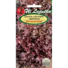salata-czerwona-lisciowa-salad-red-1g-odporna-plenna-nasiona-legutko