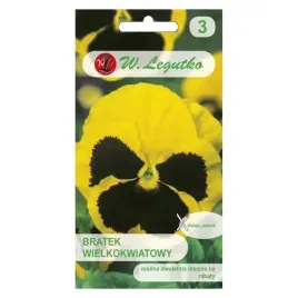 bratek-szwajcarski-firnengold-rhinegold-pastelowy-nasiona-legutko