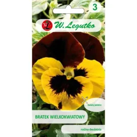 bratek-wielkokwiatowy-bratki-red-wings-05-g-pastelowy-nasiona-legutko