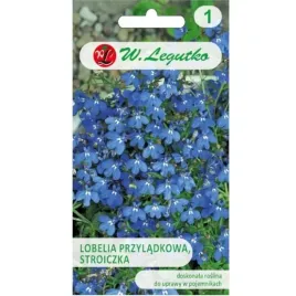 lobelia-stroiczka-niebieska-przyladkowa-mieszanka-nasiona-legutko