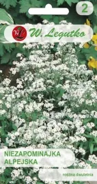 niezapominajka-alpejska-biala-03-g-mieszanka-mix-nasiona-legutko