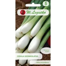 cebula-siedmiolatka-winter-nest-2g-odporna-plenna-nasiona-legutko