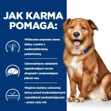 hill-s-pd-canine-derm-complete-370-g-wiek-zwierzecia-psy-dorosle