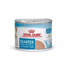 royal-canin-shn-starter-mousse-195-g