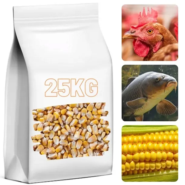 Kukurydza Żółta Paszowa 25KG Ziarno Na Pasze Zanęta