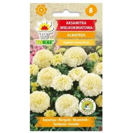 aksamitka-wielkokwiatowa-albatros-biala-dlugo-kwitnie-nasiona-toraf