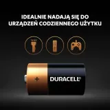 baterie-alkaliczne-duracell-basic-d-lr20-2-szt-symbol-baterii-d-r20