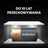 baterie-alkaliczne-duracell-basic-d-lr20-2-szt-rok-produkcji-2021