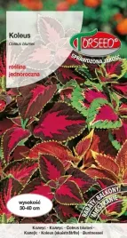 torseed-nasiona-koleus-pokrzywka-mix-kolorow-mieszanka-01g