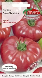 pomidor-malinowy-zorza-torunska-wczesny-plenny-05g-stara-odmiana