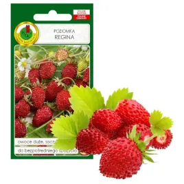 nasiona-poziomka-regina-duza-soczysta-plenna-armoatyczna