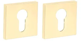 vds-rozeta-r67f-r76f-6mm-zlota-pvd-na-wkladke
