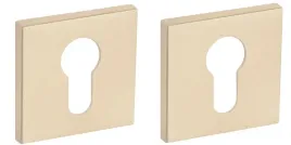 vds-rozeta-r67f-r76f-6mm-zloty-satyna-na-wkladke