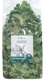 tivo-or-porzeczka-lisc-100g