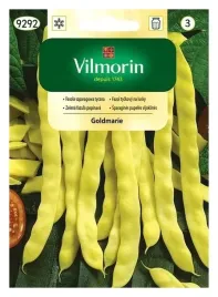 vilmorin-fasola-szparagowa-goldmarie-10g