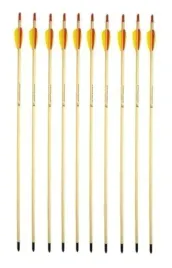 strzaly-do-luku-10-sztuk-drewniane-ostre-groty
