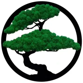 obraz-drzewo-bonsai-ciemny-mech-chrobotek-40cm-ozdoba-dekoracja-do-domu