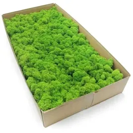 mech-chrobotek-finski-500g-ozdoba-dekoracja-do-domu-prezent