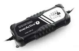 prostownik-everactive-cbc-10-12v-24v-10a-ladowarka