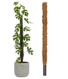 palik-kokosowy-tyczka-podpora-do-roslin-120cm