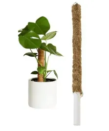 palik-kokosowy-tyczka-podpora-do-roslin-40cm