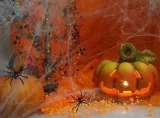 pajeczyna-halloween-bialy-60g-stan-nowy-liczba-sztuk-w-zestawie-1-szt