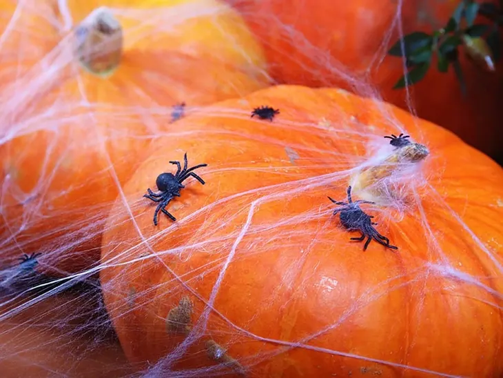 pajeczyna-halloween-bialy-60g-rodzaj-pajeczyna-wysokosc-produktu-2-9-cm