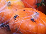 pajeczyna-halloween-bialy-60g-rodzaj-pajeczyna-wysokosc-produktu-2-9-cm
