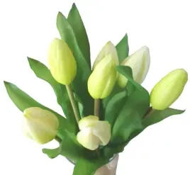 tulipany-gumowane-biale-bukiet-7sz-kwiaty-jak-zywe