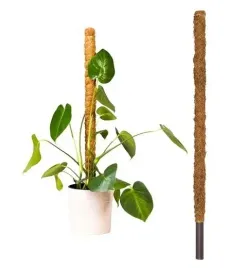 palik-kokosowy-tyczka-podpora-do-roslin-100cm