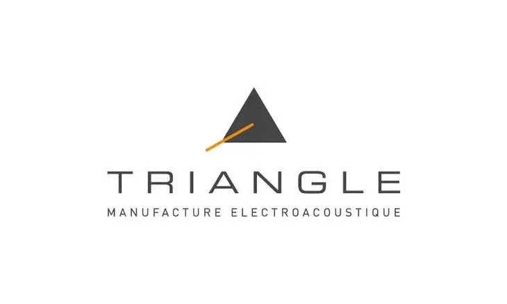 kolumny-podstaw-triangle-esprit-comete-black-ash-rodzaj-polkowe-moc-znamionowa-rms-80-w