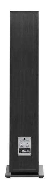 kolumny-podlogowe-triangle-esprit-gaia-black-ash-kolor-inny-kolor
