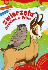 maluszkowe-malowanie-zwierzeta-chronione-w-polsce