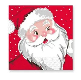 serwetki-papierowe-swiety-mikolaj-33x33-cm-20szt