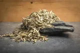 green-touch-tea-herbata-biala-silver-needle-50g-kraj-pochodzenia-chiny