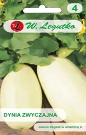 dynia-zwyczajna-cukinia-lungo-bianco-bogate-w-witamine-c-nasiona-legutko