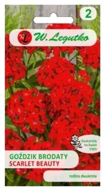gozdzik-brodaty-o-kwiatach-pojedynczych-scarlet-beauty-05g-nasiona-legutko
