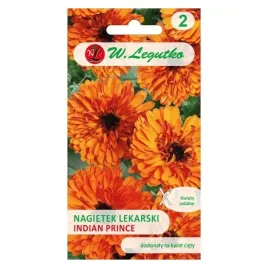 nagietek-lekarski-indian-prince-legutko-2g-pomaranczowy-nasiona-legutko