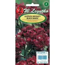 gozdzik-brodaty-black-magic-05-g-dlugo-kwitnie-nasiona-legutko
