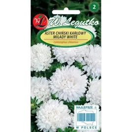 aster-karlowy-milady-white-kwiaty-pelne-biale-dlugo-kwitnie-nasiona-legutko