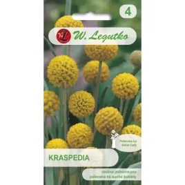 kraspedia-zolta-01g-na-suche-bukiety-dlugo-kwitnie-nasiona-legutko