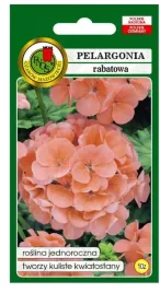 pelargonia-rabatowa-f1-lososiowa-10z-dlugo-kwitnie-nasiona-pnos