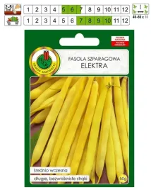 fasola-szparagowa-karlowa-elektra-bezwloknista-bez-gmo-odporna-nasiona-pnos