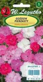 gozdzik-pierzasty-mix-05-g-mieszanka-na-kwiat-ciety-nasiona-legutko