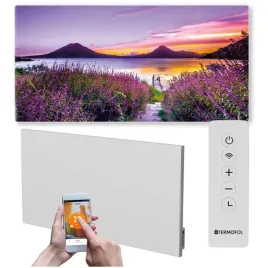 grzejnik-na-podczerwien-obraz-700w-120x60cm-wifi