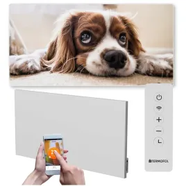 grzejnik-na-podczerwien-obraz-700w-120x60cm-wifi